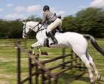 Wanborough Horse and Dog show